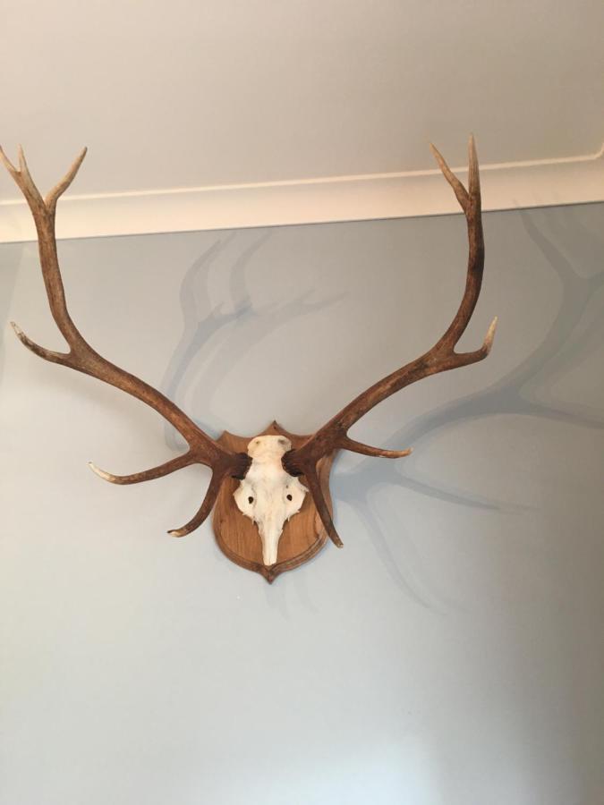 The Guest suite at Daviot ,Inverness Extérieur photo